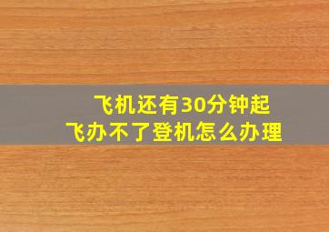 飞机还有30分钟起飞办不了登机怎么办理