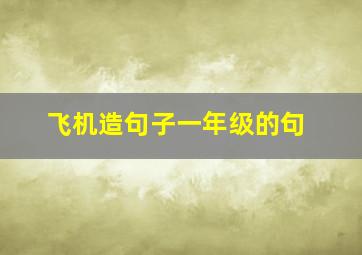 飞机造句子一年级的句