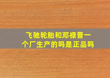 飞驰轮胎和邓禄普一个厂生产的吗是正品吗