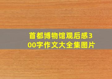 首都博物馆观后感300字作文大全集图片