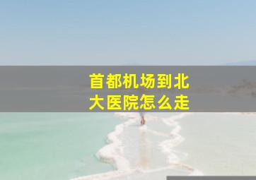 首都机场到北大医院怎么走