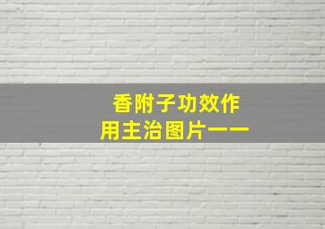 香附子功效作用主治图片一一