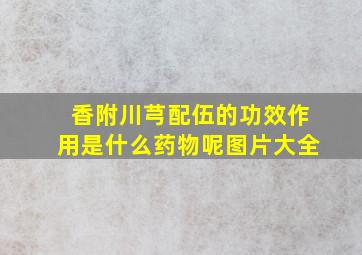 香附川芎配伍的功效作用是什么药物呢图片大全