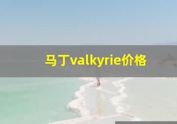 马丁valkyrie价格