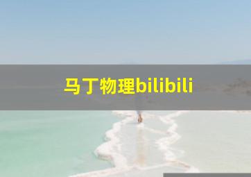 马丁物理bilibili