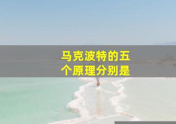 马克波特的五个原理分别是