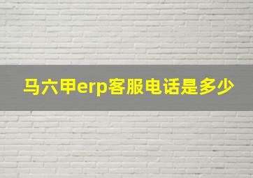 马六甲erp客服电话是多少