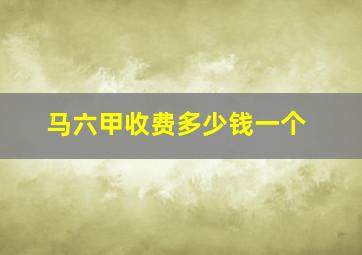 马六甲收费多少钱一个