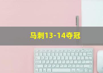 马刺13-14夺冠