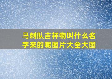 马刺队吉祥物叫什么名字来的呢图片大全大图