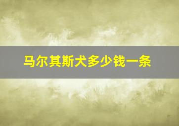 马尔其斯犬多少钱一条