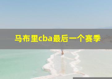 马布里cba最后一个赛季