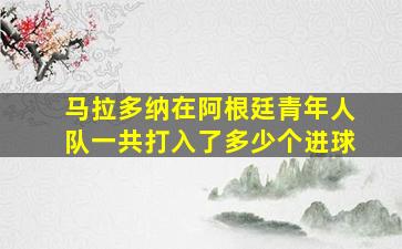 马拉多纳在阿根廷青年人队一共打入了多少个进球