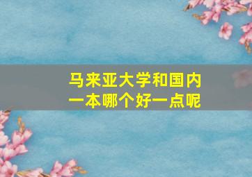 马来亚大学和国内一本哪个好一点呢