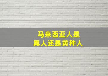 马来西亚人是黑人还是黄种人