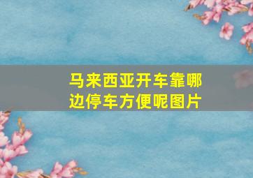 马来西亚开车靠哪边停车方便呢图片