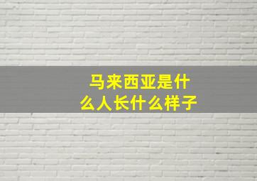 马来西亚是什么人长什么样子