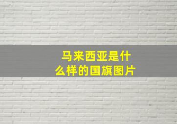 马来西亚是什么样的国旗图片