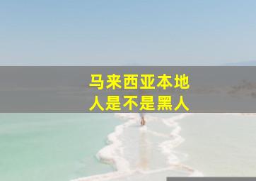 马来西亚本地人是不是黑人