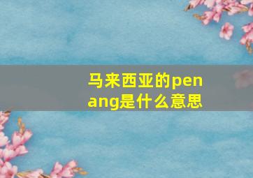 马来西亚的penang是什么意思