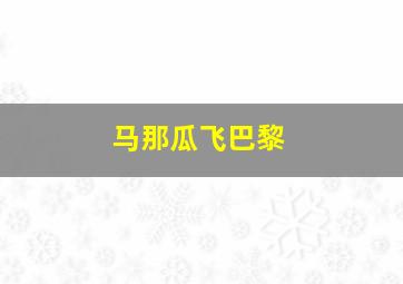 马那瓜飞巴黎