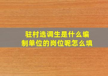 驻村选调生是什么编制单位的岗位呢怎么填