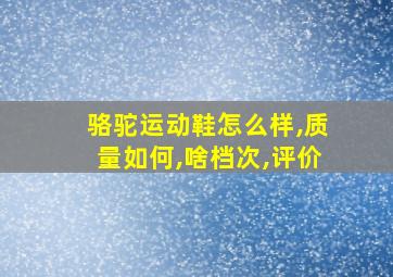 骆驼运动鞋怎么样,质量如何,啥档次,评价