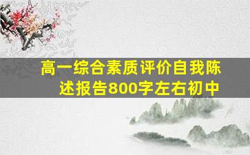 高一综合素质评价自我陈述报告800字左右初中