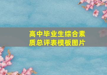 高中毕业生综合素质总评表模板图片