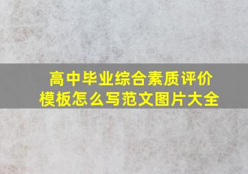 高中毕业综合素质评价模板怎么写范文图片大全