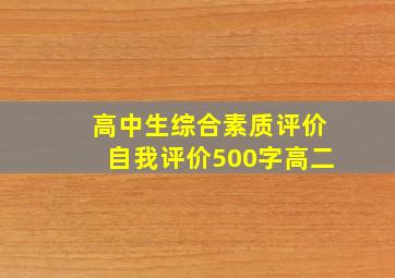 高中生综合素质评价自我评价500字高二