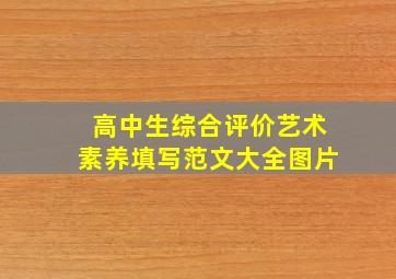 高中生综合评价艺术素养填写范文大全图片