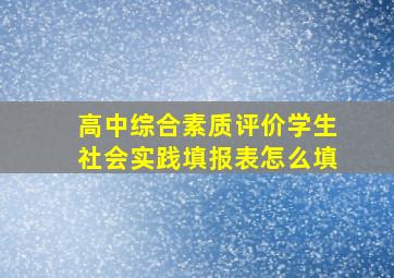 高中综合素质评价学生社会实践填报表怎么填