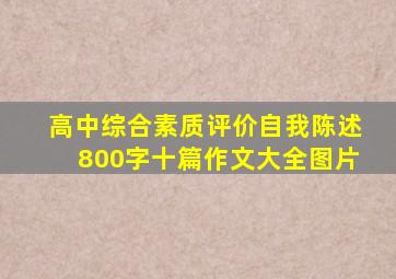 高中综合素质评价自我陈述800字十篇作文大全图片