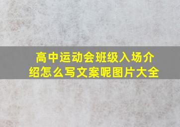 高中运动会班级入场介绍怎么写文案呢图片大全