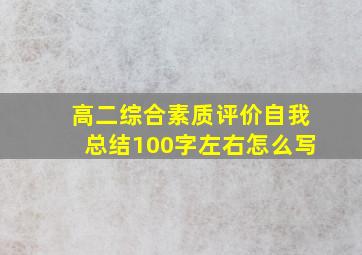 高二综合素质评价自我总结100字左右怎么写