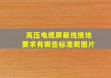 高压电缆屏蔽线接地要求有哪些标准呢图片