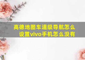 高德地图车道级导航怎么设置vivo手机怎么没有