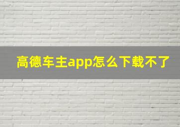 高德车主app怎么下载不了