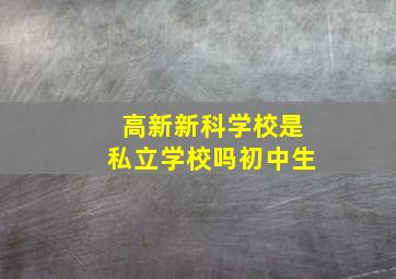 高新新科学校是私立学校吗初中生