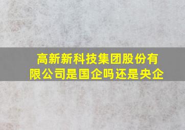 高新新科技集团股份有限公司是国企吗还是央企