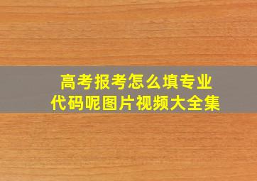 高考报考怎么填专业代码呢图片视频大全集