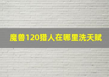 魔兽120猎人在哪里洗天赋