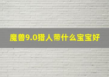 魔兽9.0猎人带什么宝宝好