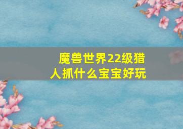 魔兽世界22级猎人抓什么宝宝好玩