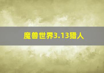 魔兽世界3.13猎人