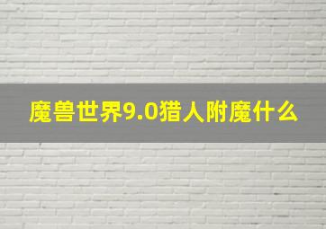 魔兽世界9.0猎人附魔什么