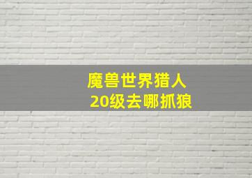 魔兽世界猎人20级去哪抓狼