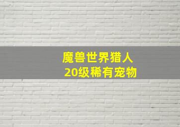 魔兽世界猎人20级稀有宠物