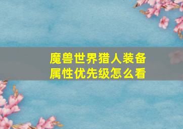 魔兽世界猎人装备属性优先级怎么看